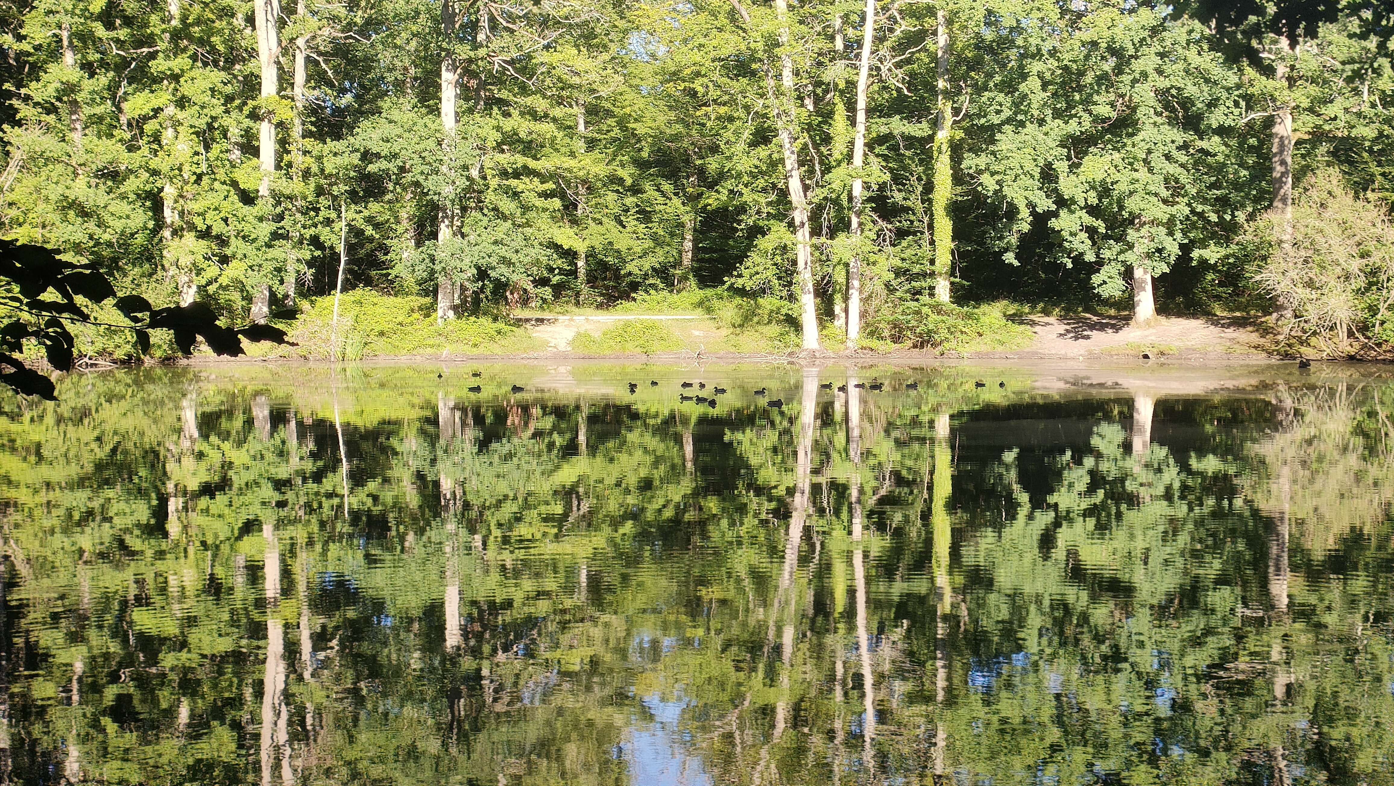 L'eau